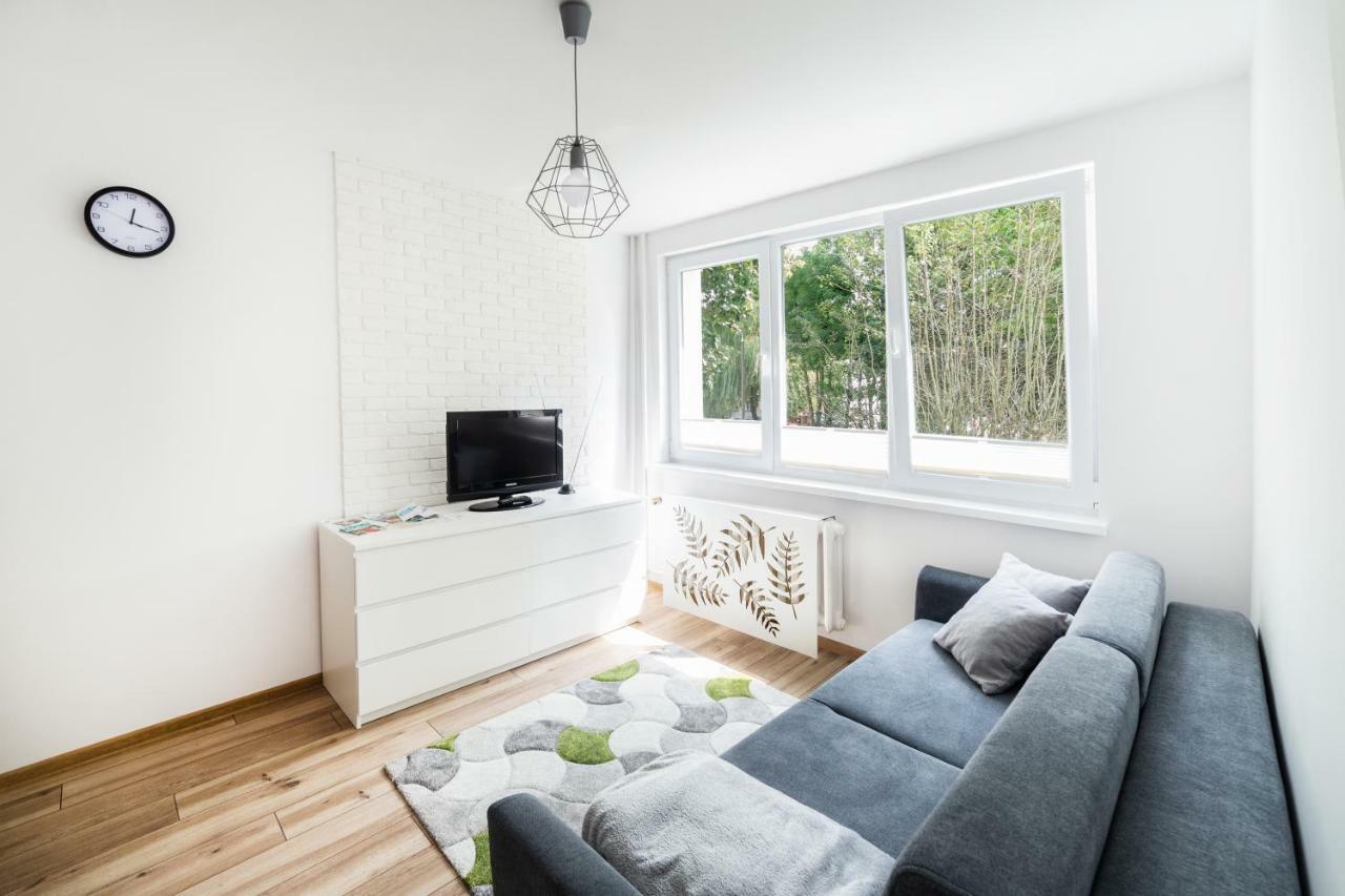 Apartament Smetka オルシュティン エクステリア 写真